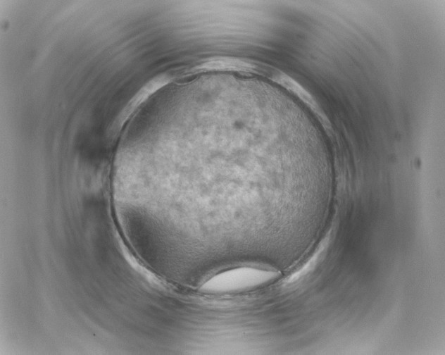 X0000066091049200603241452