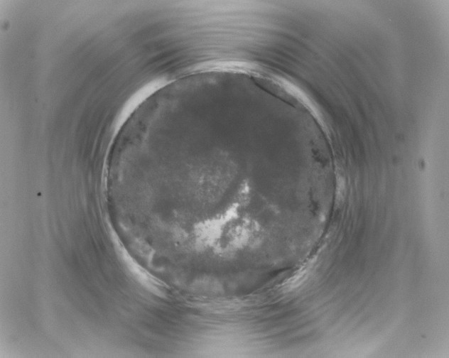 X0000066091050200603241452