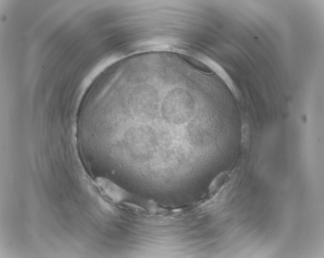 X0000066091051200603241452