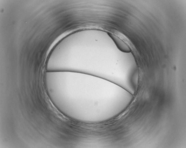 X0000066091052200603241452