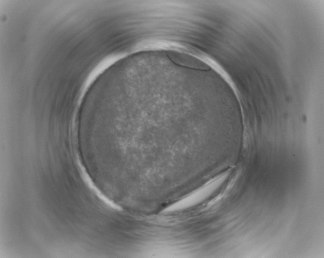 X0000066091053200603241452