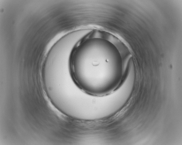 X0000066091054200603241452