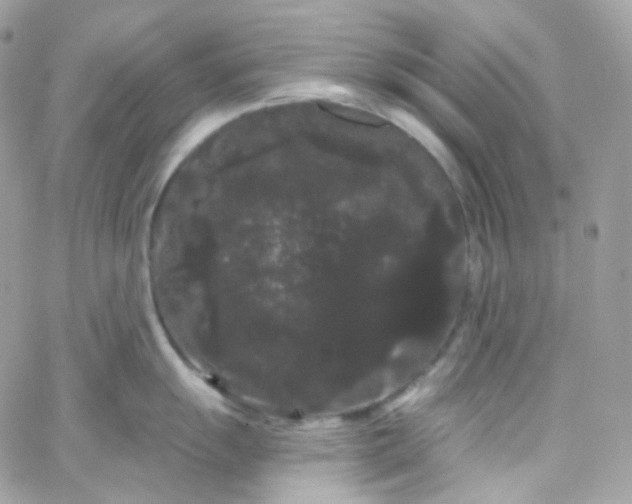 X0000066091055200603241452