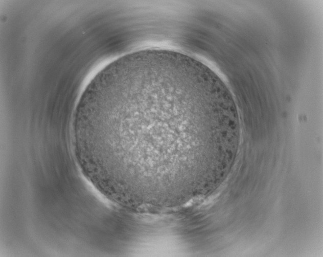 X0000066091056200603241452