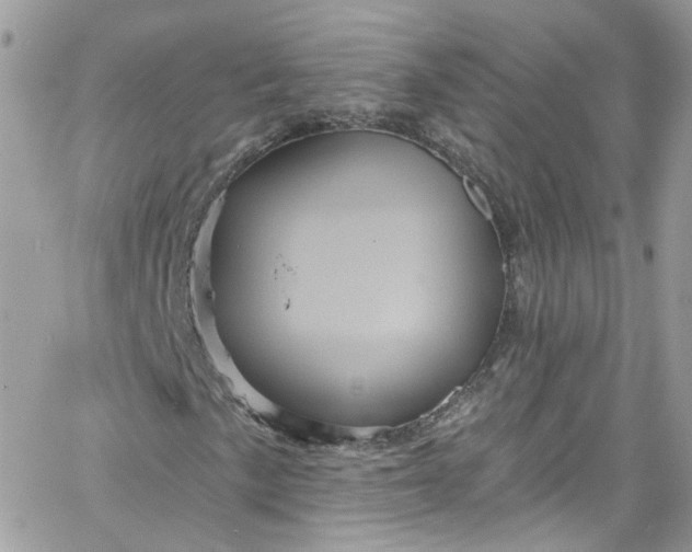 X0000066091057200603241451