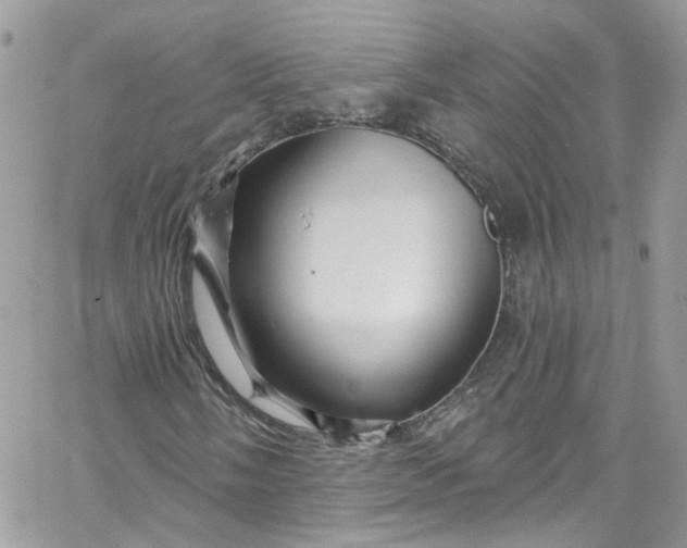 X0000066091058200603241451