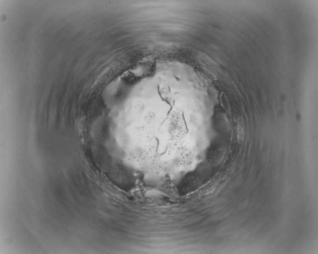 X0000066091059200603241451