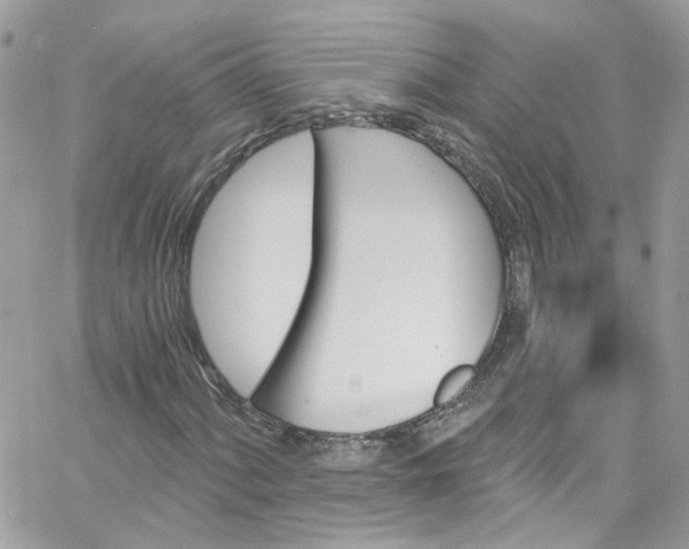 X0000066091060200603241451