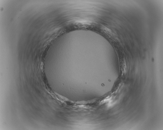 X0000066091061200603241451