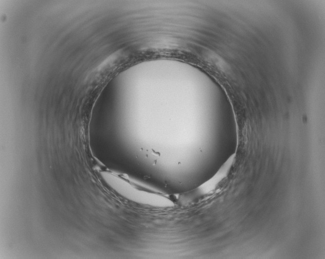 X0000066091062200603241451