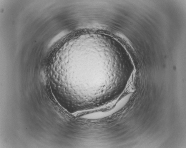 X0000066091064200603241451