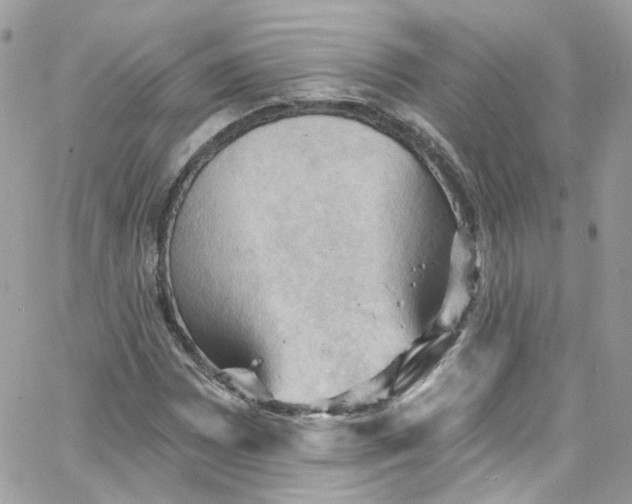 X0000066091065200603241451