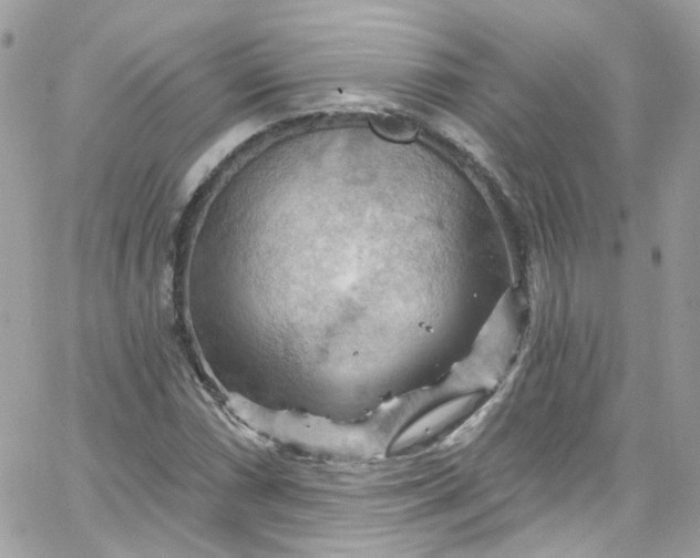 X0000066091066200603241451