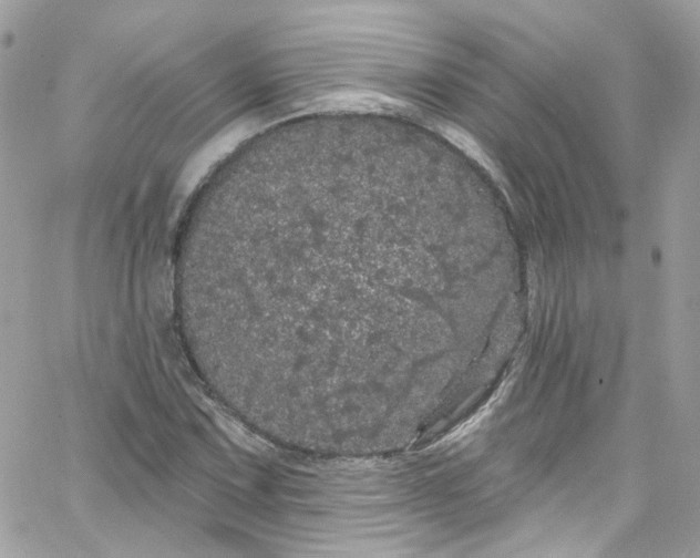 X0000066091067200603241451