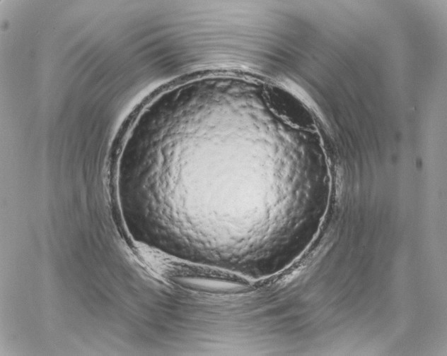 X0000066091068200603241451