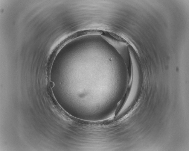 X0000066091069200603241451