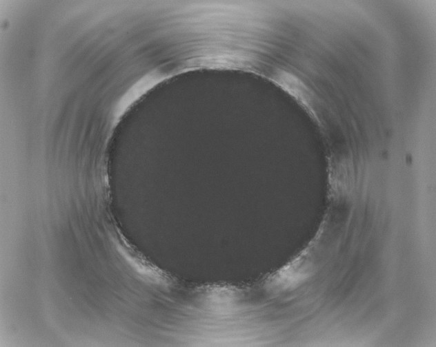 X0000066091070200603241451