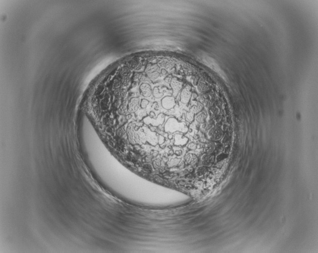 X0000066091071200603241451