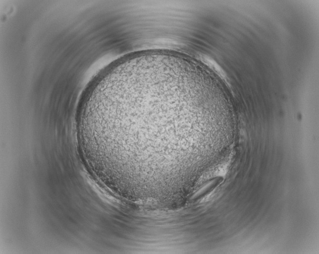 X0000066091072200603241451