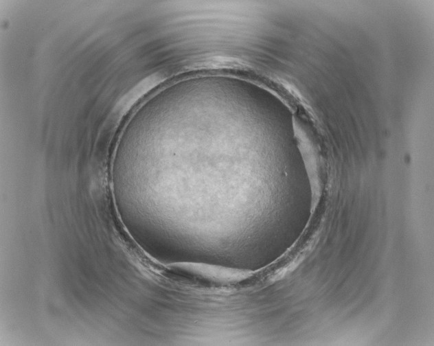 X0000066091073200603241451