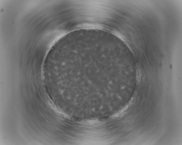 X0000066091074200603241451