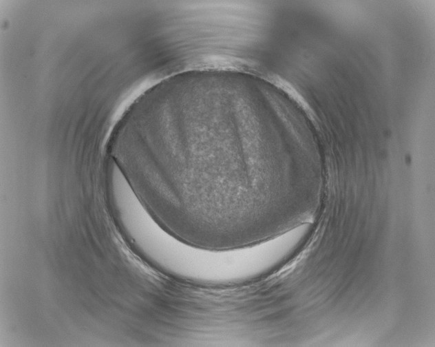 X0000066091075200603241451