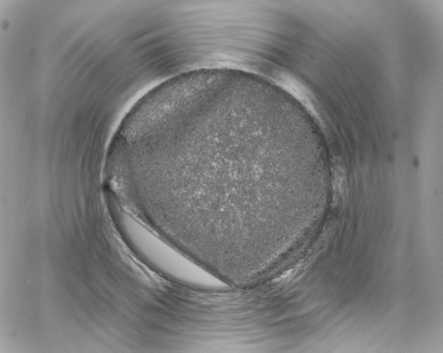 X0000066091076200603241451