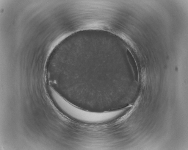 X0000066091077200603241451