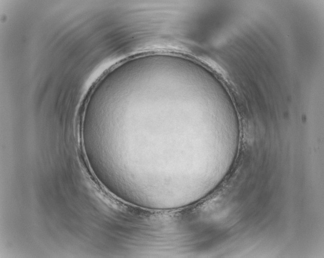 X0000066091078200603241451