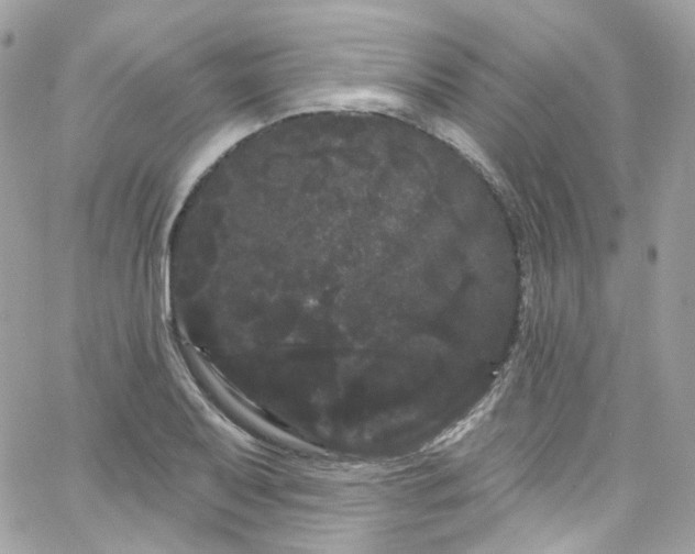 X0000066091079200603241451