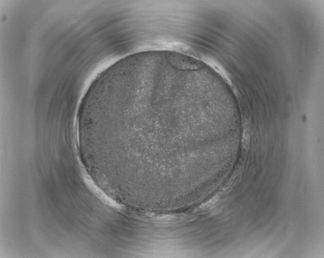 X0000066091080200603241451