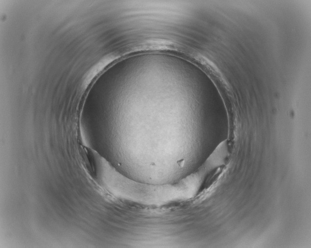 X0000066091081200603241451