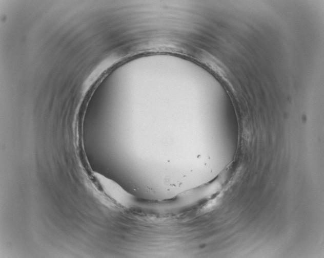 X0000066091082200603241451