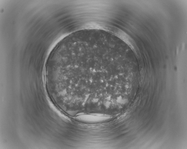 X0000066091084200603241451