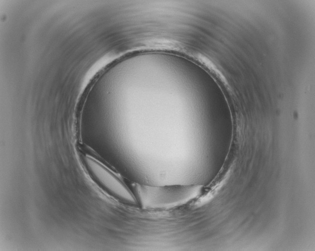 X0000066091085200603241451