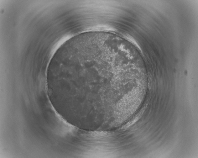 X0000066091087200603241451