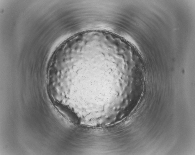 X0000066091088200603241451