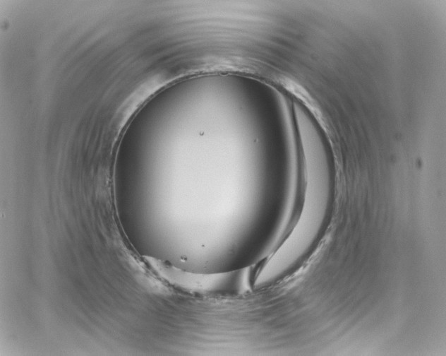 X0000066091089200603241451