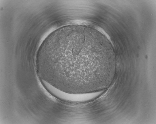 X0000066091091200603241451