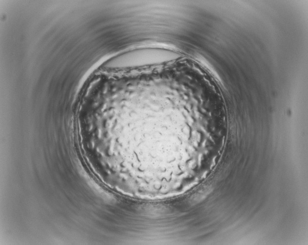 X0000066091092200603241451