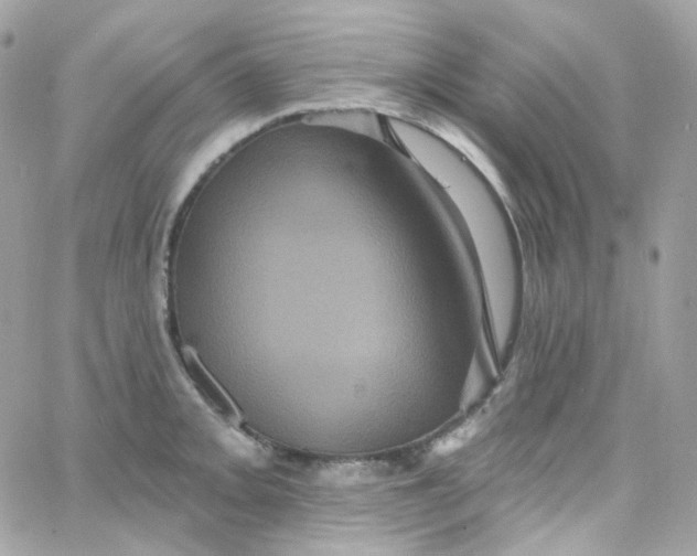 X0000066091093200603241451