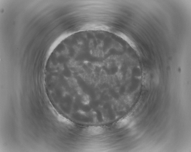 X0000066091094200603241451