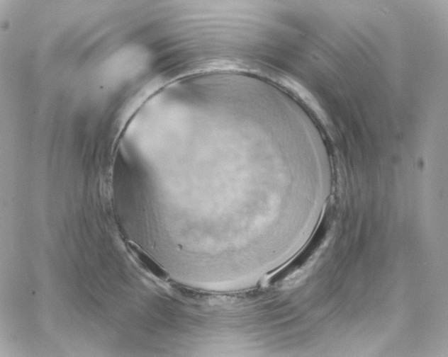 X0000066091097200603241451