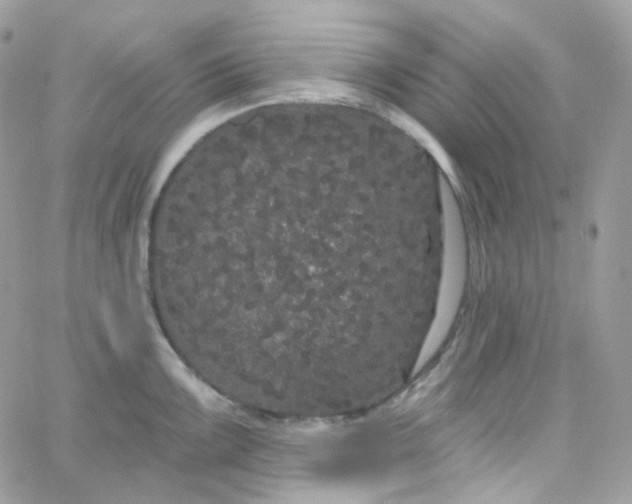 X0000066091099200603241451