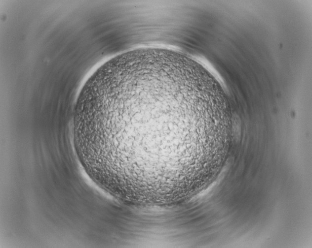 X0000066091100200603241451