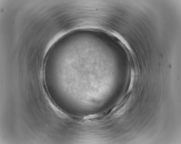 X0000066091101200603241451