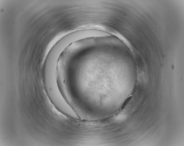 X0000066091102200603241450