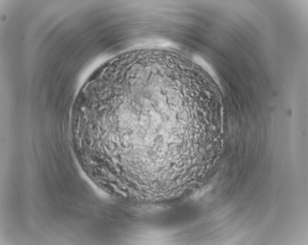 X0000066091103200603241450