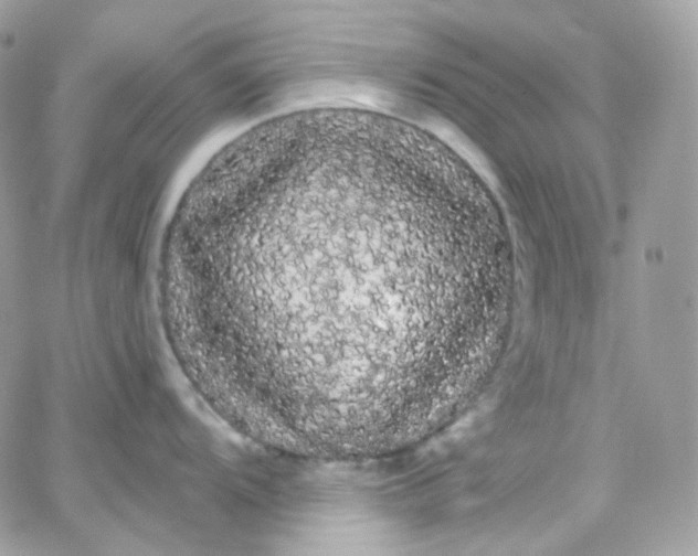 X0000066091104200603241450