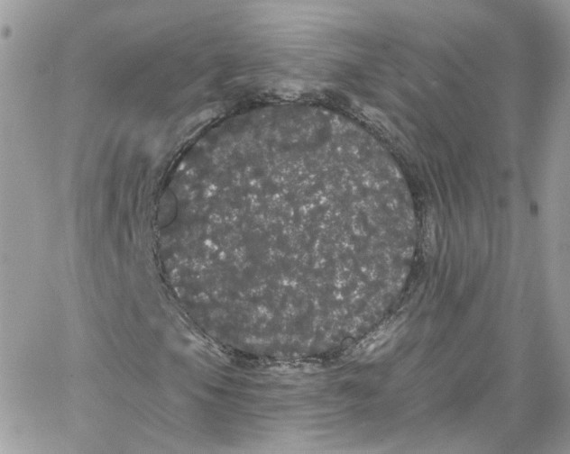 X0000066091105200603241450